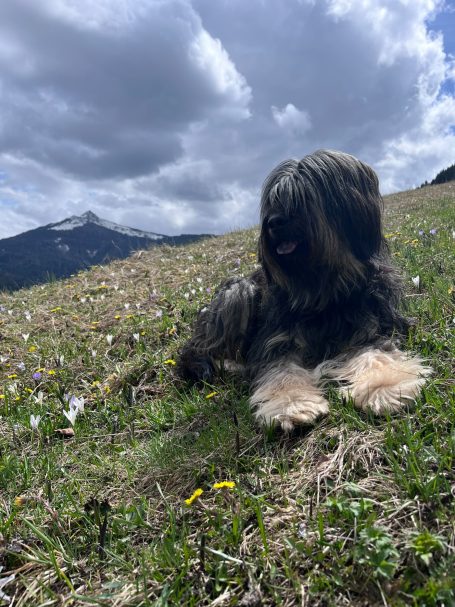 Finya in Südtirol im Hintergund das Weishorn